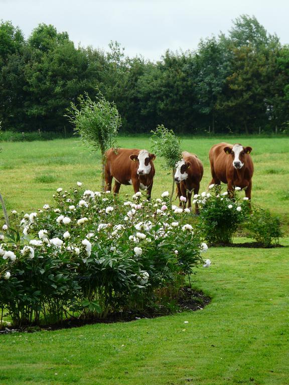 Bed and Breakfast Landgoedlogies Pabema Zuidhorn Zewnętrze zdjęcie