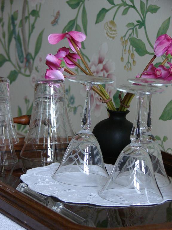 Bed and Breakfast Landgoedlogies Pabema Zuidhorn Zewnętrze zdjęcie